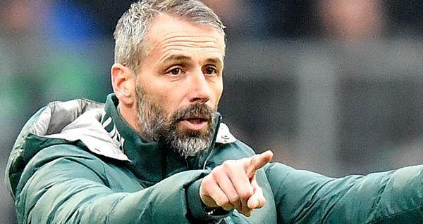 1613465797090086715.jpg Rose_Marco_glad_191214.jpg